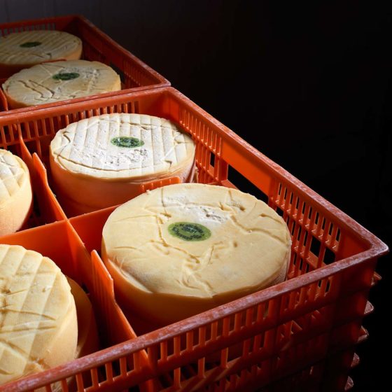 Collecte des fromages directement auprès des producteurs